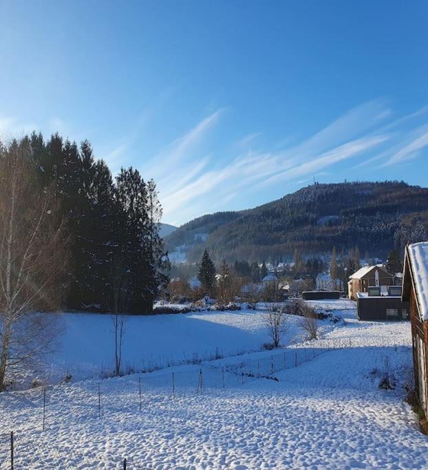 Chalet Les Boudieres 6 Pers Pres Gerardmer Cosy Billard Fraize Kültér fotó
